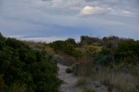Sandy path through the vegetation, with storm sky Stock Photos