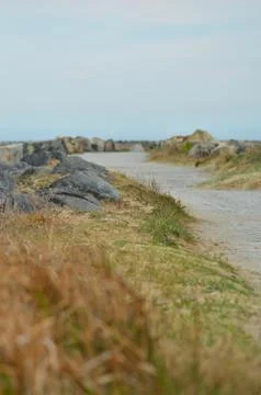 A sandy path on top of grass-covered dunes, with a blue sky. Stock Photos