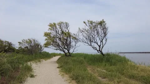 Sandy path by the water Stock Footage 154711988