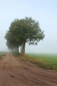 Sandy Path Winding into the Distance on a Soft Misty Morning 스톡 사진