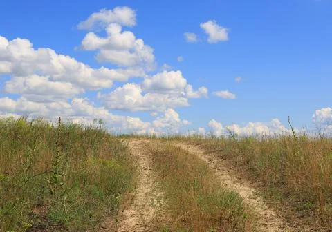Sandy path winding through dry grass under a bright blue sky with clouds Foto stock