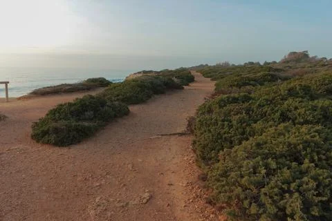 Sandy path winding through green coastal bushes at sunset by the ocean Stock Photos