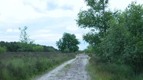 Sandy path winds through heathland landscape under cloudy sky Vidéo 293944065