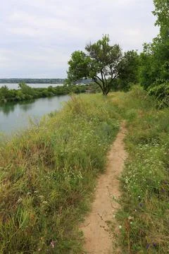 Sandy path winds through lush green meadow beside a calm river on an overca.. Stock Photos