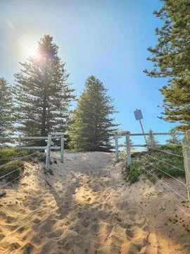A sandy pathway coming from the beach, surrounded by wooden logs, on a sunn.. Fotos de archivo