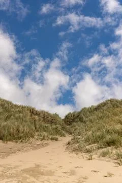 Sandy pathway leading through tall grass dunes under a bright blue sky with.. Foto stock