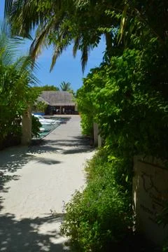 Sandy pathway to ocean Stock Photos