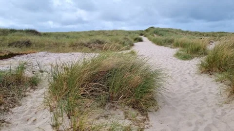 Sandy pathway through tall grass leading to a distant hill under a cloudy sky Stock Footage 341577925
