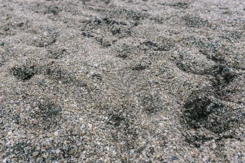 Sandy pebbles on the beach. The texture of sand and pebbles on the beach. Sea Stock Photos