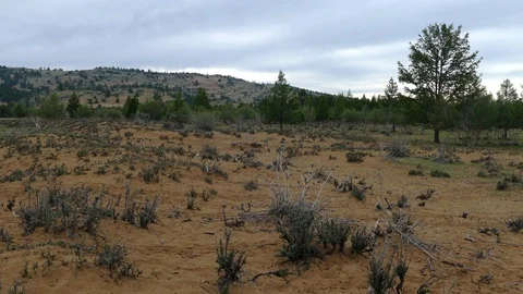 Sandy plain overgrown with vegetation in the background of the mountains. Video stock 85179569