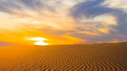 Sandy prairie at the dramatic sunset Stock Footage 331429009