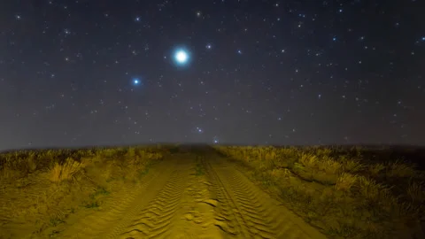 Sandy prairie under starry sky Stock Footage 242503811