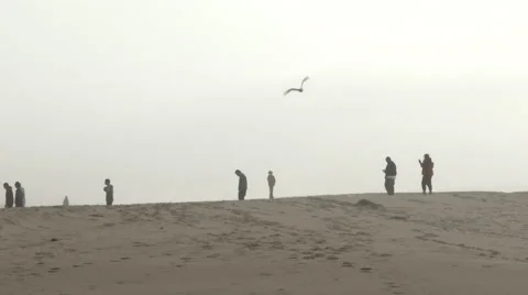 Sandy Ridge People Walking Stock-Footage 68020007