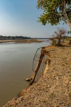 Sandy river bank with erosion causing trees falling apart Stock-Fotos