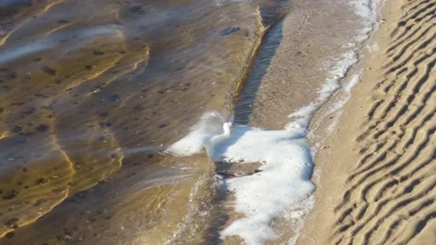 Sandy river bank with small waves, shells and white foam. Stock Footage 297365539