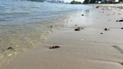 Sandy river beach in a sunny day Stock Footage 280502098