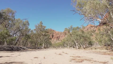 Sandy River bed 1 Stock Footage 155229788