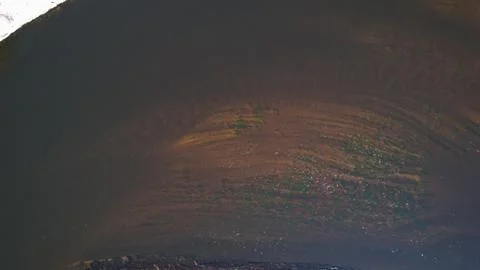 Sandy river floor Stock Photos