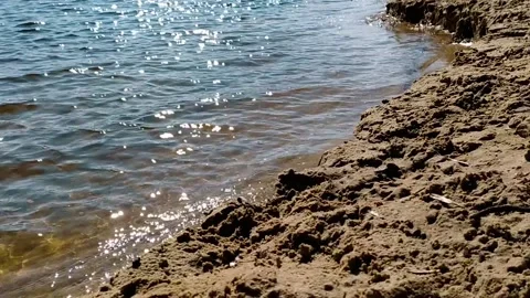 Sandy Riverbank Stock Footage 148157372