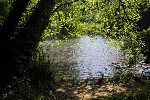 Sandy rivershore in a park Stock Photos