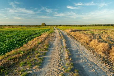 Sandy road and rural fields in eastern Poland Stock Photos
