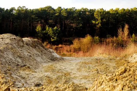 Sandy road at the edge of the forest. Stock Photos