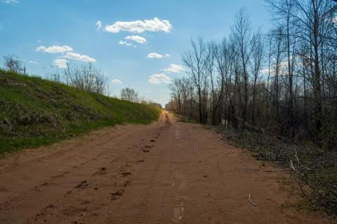 A sandy road on the edge of the spring forest stretching into the distance Stock Photos