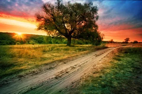 Sandy road next to tree under setting orange sky Stock Photos