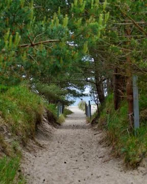 Sandy road Stock Photos