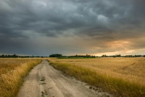 Sandy road through fields and dark rainy clouds in the sky Stock Photos