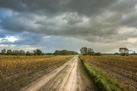 Sandy road through fields and dark clouds Stock Photos