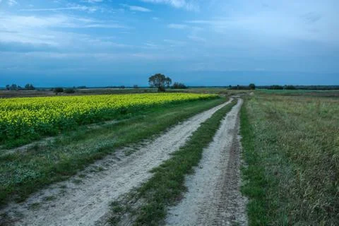 A sandy road through fields, the horizon and the evening sky Stock Photos
