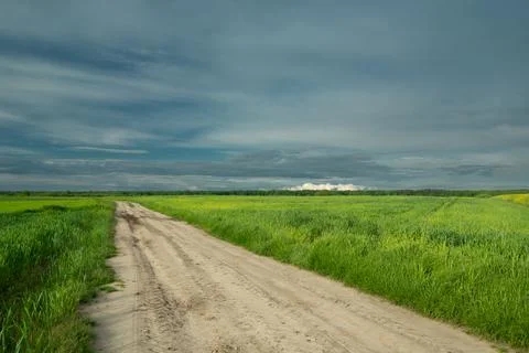 Sandy road through green fields and cloudy sky Stock Photos