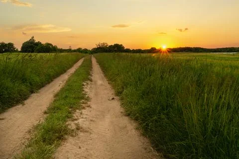 Sandy road through green meadows and sunset Stock Photos