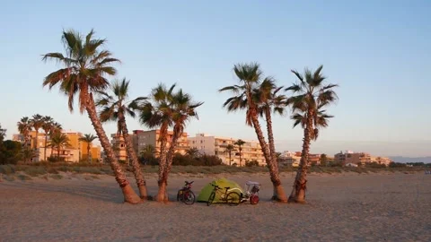 Sandy Sea Beach With Palm Trees, Tent And Town Buildings Stock Footage 228116294