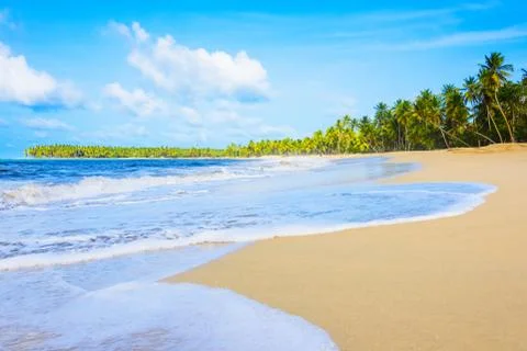 Sandy sea beach Фото