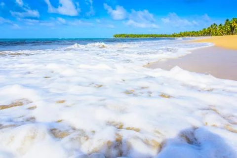Sandy sea beach Фото