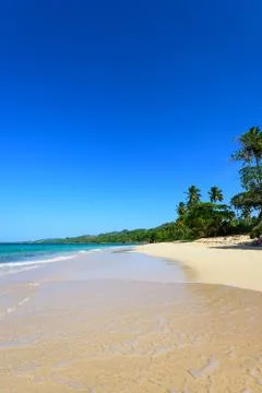 Sandy sea beach Stock Photos