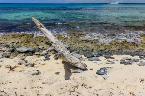 Sandy sea beach Foto stock