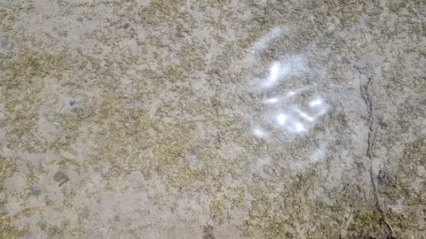 Sandy seabed seen through water Vídeo Stock 130205648