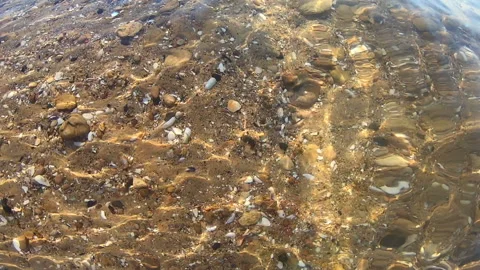 Sandy seabed with shells and small rocks. Sun glare lines move Vídeos de archivo 151003769