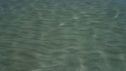 Sandy seabed with sunlight reflections and legs of man standing in the water Stock Footage 76989049