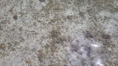 Sandy seabed through water Stock Footage 113746619