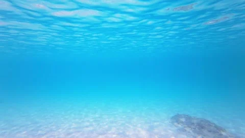 Sandy Seabed Underwater Video Stock Footage 330792142