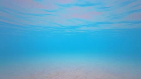 Sandy Seabed Underwater Video Stock Footage 330792176