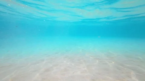 Sandy Seabed Underwater Video Stock Footage 330792178