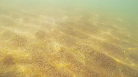 Sandy seabed without waves with stirring sand 库存影片 104253467