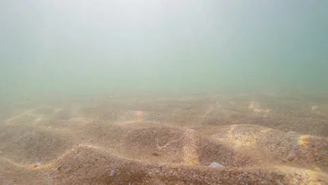 Sandy seabed without waves with stirring sand Vidéo 104620417