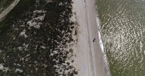 Sandy seashore Stock Footage 133628653