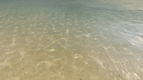 Sandy Shore Vídeos de archivo 263952508